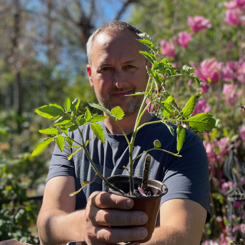Jeremy with tomato plant